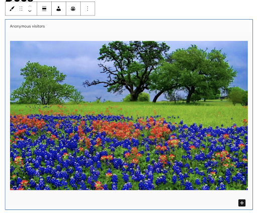 Click the publish button